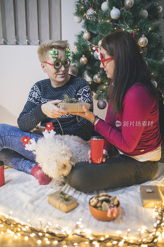 两个女人和狗分享圣诞/新年礼物
